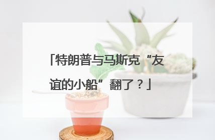 特朗普与马斯克“友谊的小船”翻了？